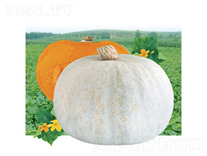 �y�����Ϲ�-�ϹϷN��-��̩�_(d��)