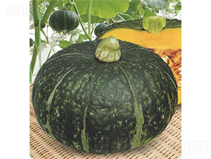 �����Ϲ�-�ϹϷN��-��̩�_(d��)