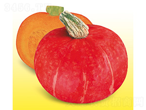 �����Ϲ�-�ϹϷN��-��̩�_(d��)