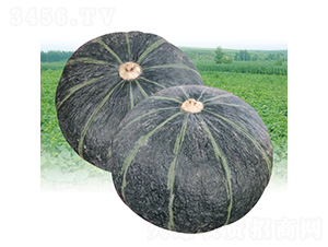 �����Ϲ�-�ϹϷN��-��̩�_(d��)