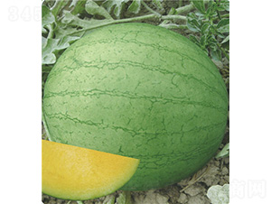 ��Ů����-���ϷN��-��̩�_(d��)