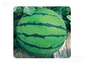 �ļ�����3̖(h��o)-���ϷN��-��̩�_(d��)