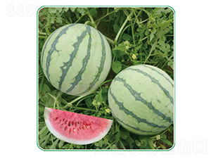 �׶�����-���ϷN��-��̩�_(d��)