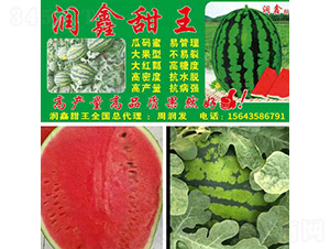 ��(r��n)������-���ϷN��-��̩�_(d��)