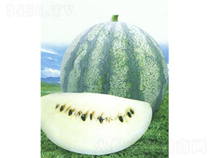 ȿ����̖(h��o)-���ϷN��-��̩�_(d��)