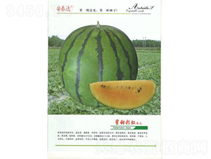 ����ʺ�����-���ϷN��-��̩�_(d��)