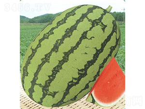 ����(y��u)��̖(h��o)-���ϷN��-��̩�_(d��)