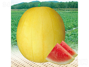 ��������-���ϷN��-��̩�_(d��)