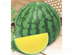 ��������-���ϷN��-��̩�_(d��)