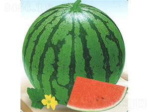 �A������-���ϷN��-��̩�_(d��)