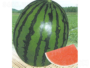 �A�ۣ���Ʒ����������-���ϷN��-��̩�_(d��)