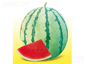 �t��-���ϷN��-��̩�_(d��)