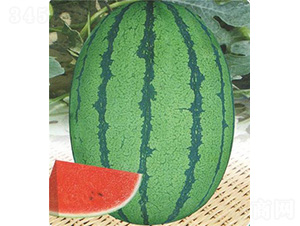 ����3̖-���ϷN��-��̩�_