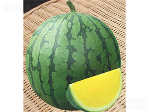 ���������-���ϷN��-��̩�_