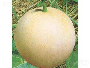 ����һ̖���-��ϷN��-��̩�_