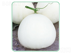 �����-��ϷN��-��̩�_