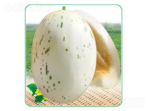 ����һ̖-��ϷN��-��̩�_