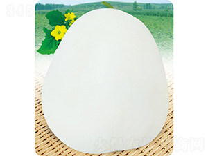 ������-��ϷN��-��̩�_