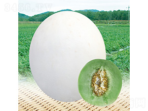 �y�������-��ϷN��-��̩�_