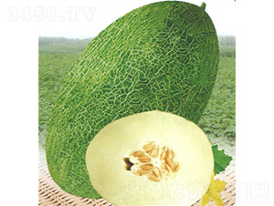 ���۴�-��ϷN��-��̩�_