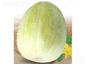 ���������-��ϷN��-��̩�_