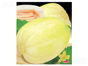 ����-��ϷN��-��̩�_