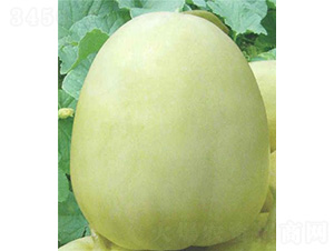 ���۹����-��ϷN��-��̩�_