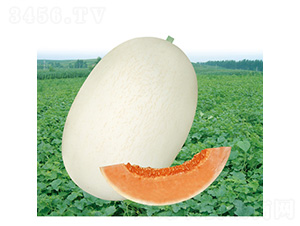 �ļ��y�t��̖���-��ϷN��-��̩�_