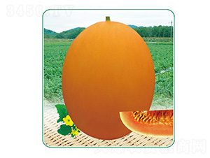 �ļ���t5̖(h��o)-��ϷN��-��̩�_(d��)