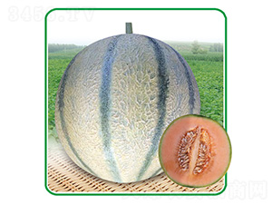 ʮȫʮ��-��ϷN��-��̩�_(d��)