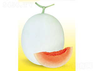 ����-��ϷN��-��̩�_(d��)