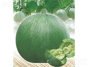 �G�����-��ϷN��-��̩�_(d��)