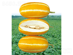 ����M�ã�20M��3194�����-��ϷN��-��̩�_(d��)