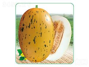 ��������-��ϷN��-��̩�_(d��)