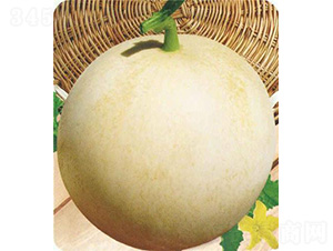 �A����-��ϷN��-��̩�_(d��)