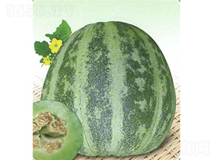 ����һ̖(h��o)���-��ϷN��-��̩�_(d��)