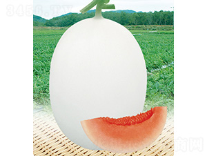 �t������-��ϷN��-��̩�_(d��)