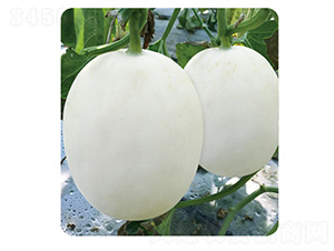 ��tA6-��ϷN��-��̩�_(d��)