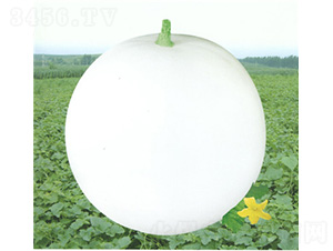 ���������-��ϷN��-��̩�_(d��)