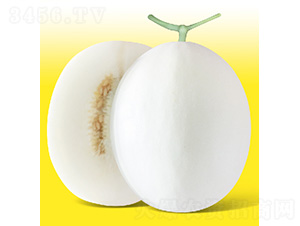 �����2̖(h��o)-��ϷN��-��̩�_(d��)