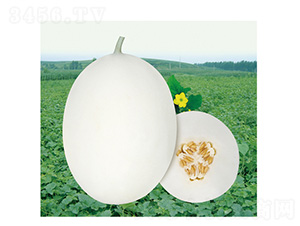 �����-��ϷN��-��̩�_(d��)