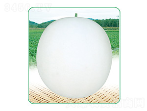 ����3̖(h��o)-��ϷN��-��̩�_(d��)