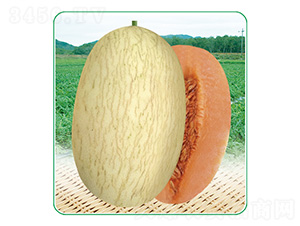 ��̩��3̖(h��o)-��ϷN��-��̩�_(d��)