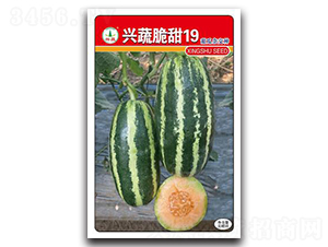 �d�ߴ���19-��ϷN��-�d�߷N�I(y��)