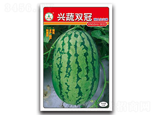 �d���p��-���ϷN��-�d�߷N�I(y��)