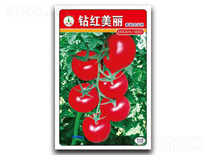 �@�t����-���ѷN��-�d�߷N�I(y��)