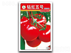 �@�t5̖-���ѷN��-�d�߷N�I(y��)