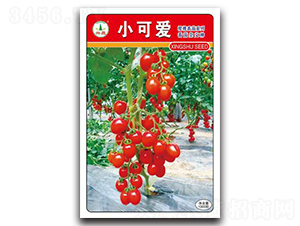 С�ɐ�-���ѷN��-�d�߷N�I(y��)