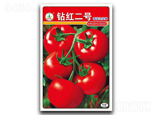 �@�t��̖-���ѷN��-�d�߷N�I(y��)