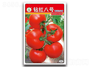 �@�t��̖-���ѷN��-�d�߷N�I(y��)